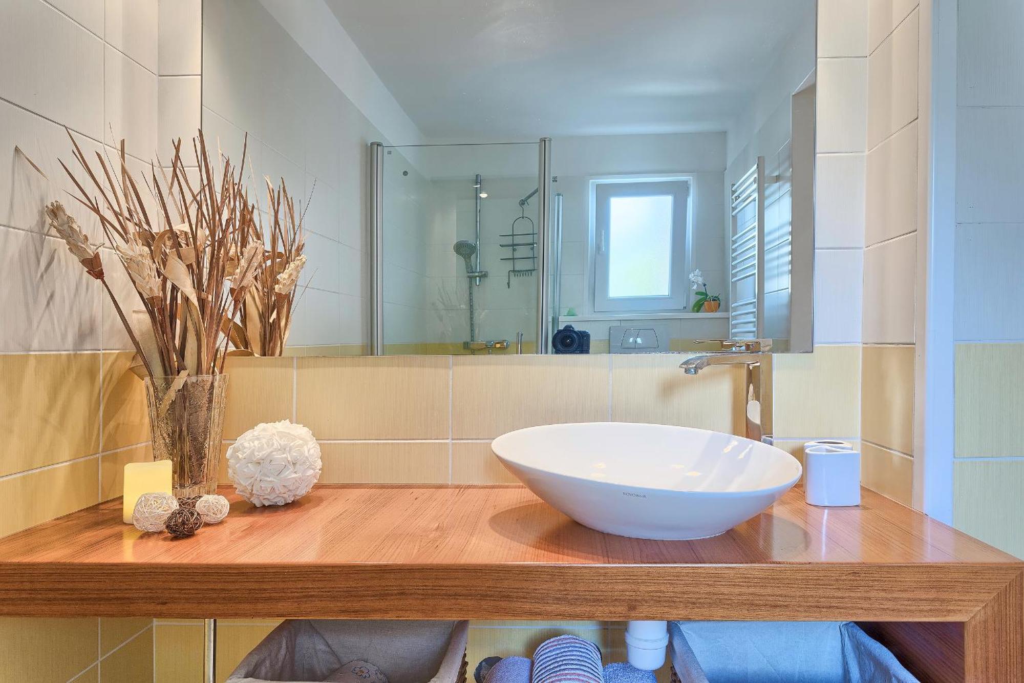 Vlasta Apartament